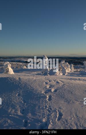 Fußspuren durch eine verschneite Winterlandschaft in Süd-Norwegen Stockfoto