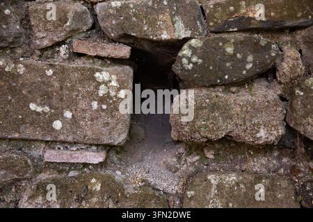 Verwitterte Steinmauer mit schmalem dunklem Spalt, moosbewachsenen, von Flechten bedeckten Blöcken, rauer rustikaler Textur, altes Mauerwerkdetail, erdige Töne, Nahaufnahme der Oberfläche Stockfoto