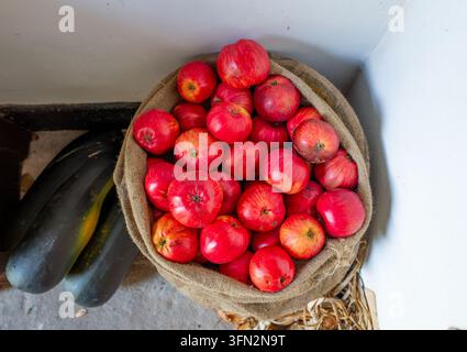 Eine Ansicht von oben auf eine Juttetasche, gefüllt mit reifen roten Äpfeln, neben dunkelgrünen Zucchinipflanzen in einer einfachen Lagerumgebung im Innenbereich. Stockfoto