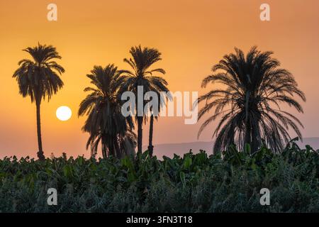 Sonnenuntergang am Ufer des Nils südlich von Nag Hammadi in Ägypten. *** Sonnenuntergang am Ufer des Nils südlich von Nag Hammadi in Ägypten Stockfoto