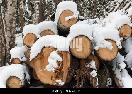 Schneebedeckter Holzstapel in Helsinki, Finnland. Stockfoto