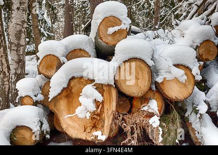 Schneebedeckter Holzstapel in Helsinki, Finnland. HDR. Stockfoto
