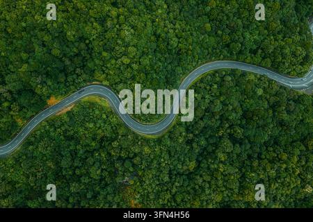 Luftaufnahme einer sich windenden Asphaltstraße, die sich durch einen dichten grünen Wald in Cape Reinga, Northland Region, Neuseeland schlängelt. Stockfoto