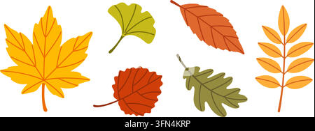 Entzückendes handgezeichnetes Herbstblätter-Isolated-Vektorpaket. Gemütliche flache Stil lineare Blattkollektion für Thanksgiving-Glückwunschkarten festliche Produktetiketten Restaurantmenüs und Web-Icons DIY-Handwerk. Stock Vektor