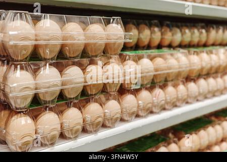 Eier in durchsichtigen Kartons im Supermarktregal mit Verpackung für Lebensmitteldienstleistungen, Grundnahrungsmittel-Einzelhandel, sich ändernde Preise, Ernährung, Nachfrage und Haushaltseinkäufe. Stockfoto