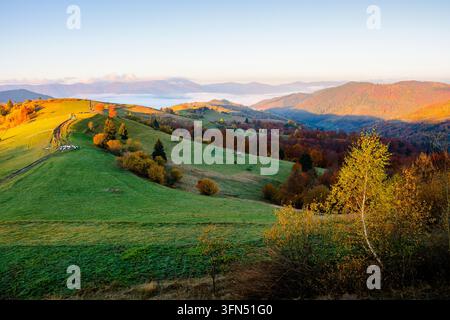 schöne Karpatenmorgen im Herbst. Landschaftsbild mit Bergen und Wald in Herbstfarben. Pfad, der durch sanfte Hügel in das neblige Tal führt Stockfoto