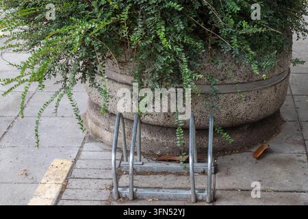 Ein metallener Fahrradständer steht leer auf einem gepflasterten Fußgängerweg direkt vor einem massiven runden Steinpflanzgefäß, das mit üppigem Grün überfüllt ist Stockfoto