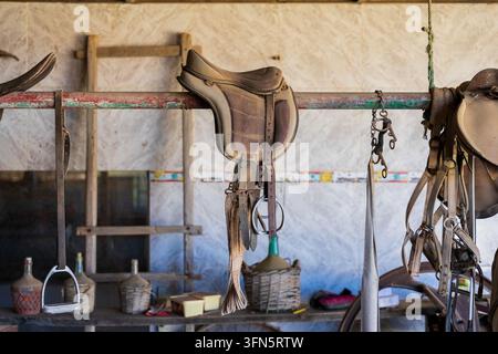 Reitsportausrüstung mit Sattel und Geschirr, die in einer rustikalen Bauernscheune in Fuerteventura, Kanarische Inseln, Spanien, hängt. Stockfoto
