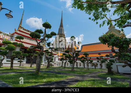 Pflegegartenhof mit geformten Bäumen, traditionellen Ziegeldächern und Keramik-Chedi-Türmen unter blauem Himmel im Wat Pho in Bangkok, Thailand Stockfoto