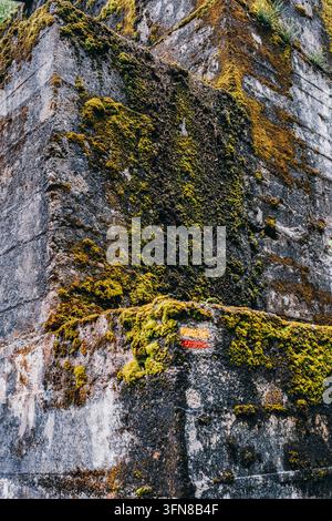 Moosebedeckte Betonwand mit gelben und roten Wanderweg-Markierungen, grünem Flechtenbewuchs, alter verwitterter Steinstruktur, Natur, Outdoor-Wander-Schild Stockfoto