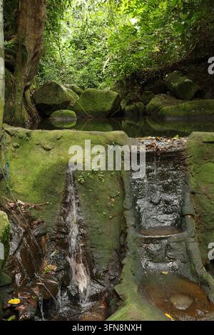 Kleiner Dschungelwasserfall, der über moosbedeckte Felsen fließt Stockfoto