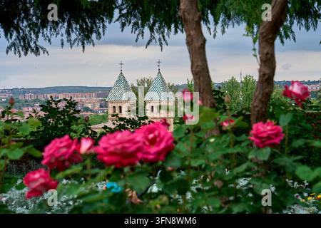 Rote Rosen im Cristo-de-la-Luz-Garten rahmen die gefliesten Zwillingstürme der Puerta Nueva de Bisagra und die moderne Stadt dahinter, Toledo, Spanien Stockfoto