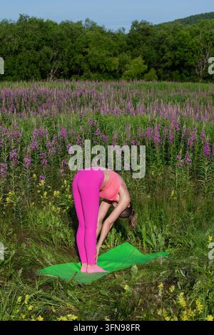 Frau in rosa Sportkleidung, die auf einer grünen Matte in einer blühenden Wiese im Steißbeinbeuge-Yoga-Streckübungen macht. Outdoor-Fitness-Workout, umgeben von Wildblumen a Stockfoto