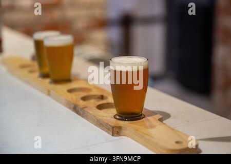 Eine Auswahl an verschiedenen Craft-Bieren mit dickem weißem Schaum wird in kleinen Probiergläsern auf einem rustikalen Holz-Bierprobenteller in einer Brauerei-Bar serviert. Stockfoto