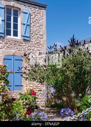 Quimper, Frankreich - 09.07.2015: Rustikales Steinhaus mit Lavendelfarbenen Fensterläden und üppigem Garten mit Agapanthus und Buddleja im hellen Sonnenlicht Stockfoto