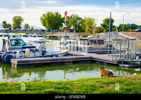 Lebendige Abendfarben spiegeln sich über ruhigen Gewässern neben Booten, die am Steg des Utah Lake State Park in Provo, Utah, festgemacht sind Stockfoto