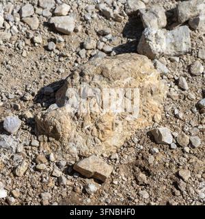 Strukturierter Felsen auf Erde und Kiesboden mit Sonnenlicht und Schatten in Deutschland Stockfoto