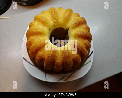 Frisch gebackener Bundt-Kuchen mit einer goldenen Kruste, Breitansicht Stockfoto
