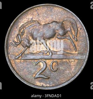 Südafrikanische 2-Cent-Münze aus dem Jahr 1981 mit einem Gnu-Motiv, Makro-Studioaufnahme isoliert auf schwarzem Hintergrund. Stockfoto