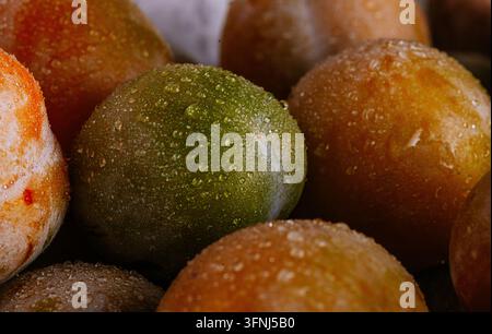 Makro-Nahaufnahme von reifen Pflaumen mit Wassertropfen, die glänzende Haut, grüne und violette Farbtöne sowie natürliche Textur zeigen. Frischer Obsthintergrund für die Ernte Stockfoto