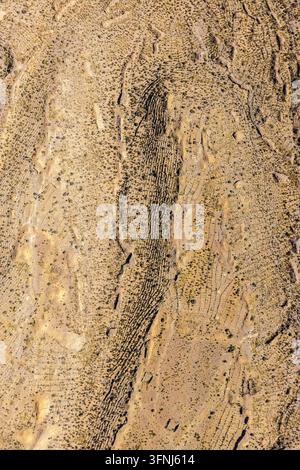 Detaillierte Nahaufnahme einer trockenen Erdoberfläche, die geschichtete Sedimente, rissigen Boden, körnige Textur und organische Erosionsmuster in warmen Beige- und Brauntönen zeigt Stockfoto