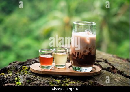 Glas Eiskaffee mit Milch neben zwei kleinen Kräutergetränken auf einem Holztray, das auf einem moosigen Baumstamm in einem üppigen grünen tropischen Garten ruht. Stockfoto
