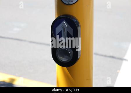 Taktile Drucktaste für Fußgängerüberweg, gelber Pfahl, Verkehrssignal, Richtpfeil darüber (Nahaufnahme, schattiert) Stockfoto