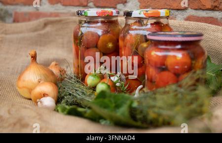 Hausgemachte eingelegte Tomaten in Gläsern mit frischem Gemüse und Dill Stockfoto