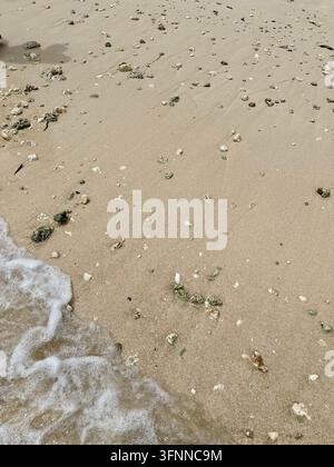 Schaumiges Meerwasser schwappt über Sand, der mit Korallenfragmenten übersät ist, bei natürlichem Tageslicht. Stockfoto