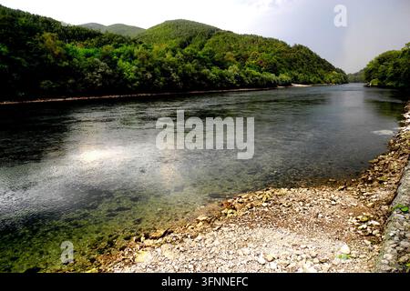 Die Drina in Serbien mit klarem Wasser, das an einem felsigen Ufer vorbeifließt, das mit Kieselsteinen bedeckt ist, und grünen bewaldeten Hügeln im Hintergrund unter der Sonne Stockfoto