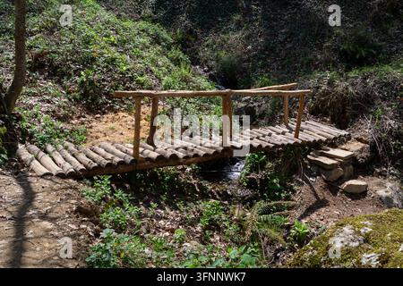 Rustische Holzbrücke über einen Waldbach Stockfoto
