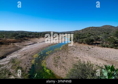 Eine Hochwinkel-, Weitwinkel-Landschaftsaufnahme eines sich windenden Flusses mit türkisfarbenem Wasser und grünen Algen, der durch ein felsiges, trockenes Flussbett fließt, umgeben von Stockfoto
