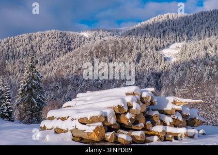 Karpaten, Ukraine. Frischer Schnee bedeckt einen gestapelten Holzstapel auf einer sonnenbeschienenen Lichtung, während gefrorene immergrüne Bäume entlang des Berghanges hinter dem Wald aufragen Stockfoto