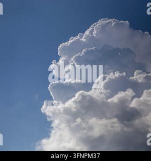 Atemberaubender Low-Angle-Shot einer majestätischen, flauschigen weißen Cumulonimbus-Wolke, die sich vertikal unter hellem Sonnenlicht entwickelt und einen kraftvollen Kontrast erzeugt Stockfoto