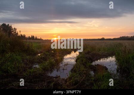 Bilder der malerischen Landschaft eines ländlichen Gebiets, aufgenommen während eines goldenen Sonnenuntergangs über weiten offenen Feldern. Mit Wasser gefüllte Pfützen entlang eines schlammigen Feldweges spiegeln das helle Stockfoto