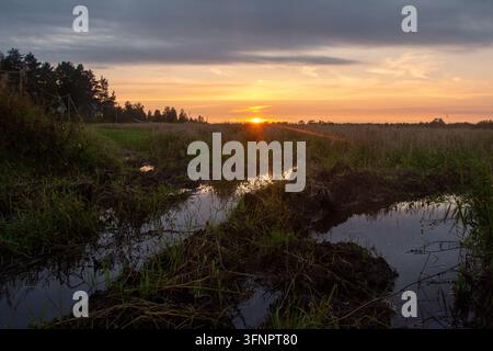 Bilder der malerischen Landschaft eines ländlichen Gebiets, aufgenommen während eines goldenen Sonnenuntergangs über weiten offenen Feldern. Mit Wasser gefüllte Pfützen entlang eines schlammigen Feldweges spiegeln das helle Stockfoto