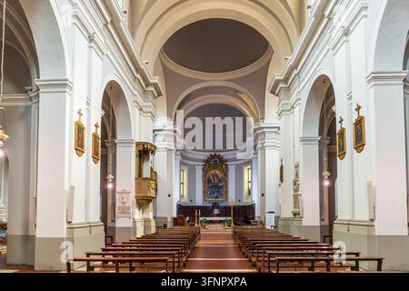 Eine symmetrische Ansicht des weiten Innenraums der Kirche San Francesco in Urbino. Das zentrale Schiff, flankiert von imposanten weißen Säulen mit runden Bögen Stockfoto