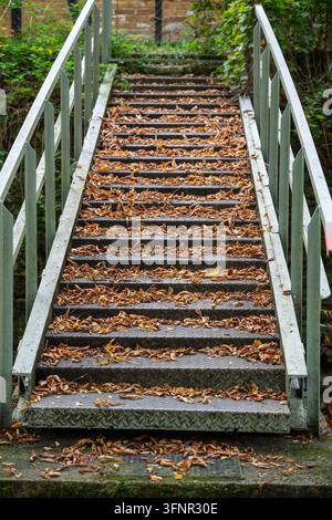 Metallene Außentreppe, bedeckt mit gefallenen Herbstblättern, führt durch Wald in Prokop Valley. Prag, Tschechien, 4. Oktober 2026. Stockfoto