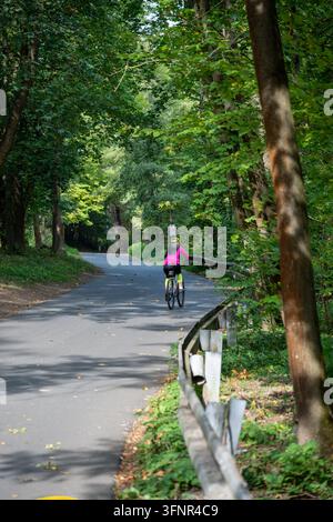Radfahrer fährt entlang eines gepflasterten Freizeitweges durch den Wald des Prokop-Tals. Prokop-Tal, Prag, Tschechische Republik, 4. Oktober 2026 Stockfoto