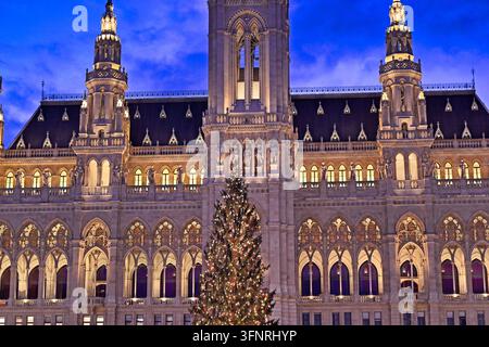 Nahaufnahme der beleuchteten neogotischen Fassade des Wiener Rathauses mit einem wunderschön geschmückten riesigen Weihnachtsbaum davor duri Stockfoto