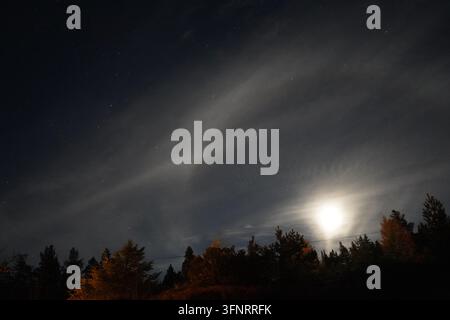 Sternennacht und ein Vollmond Stockfoto