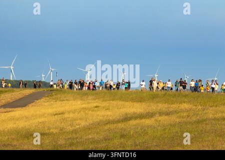 SchulKinder gehen die Avond4daagse entlang des Gooimeerdijk mit Windrädern am Horizont an einem sonnigen Abend in den Niederlanden. Stockfoto