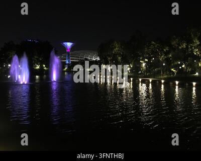 Nachtansicht der Gardens by the Bay in Singapur mit beleuchteten Brunnen und lila Lichtern im Vordergrund. Die Supertree Grove-Struktur Stockfoto