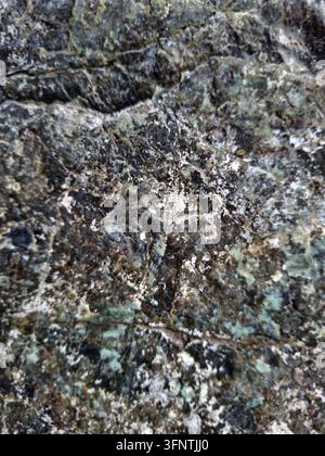 Dunkle, raue Mineralsteinoberfläche mit natürlichen grünen Adern und weißen kristallinen Ablagerungen in einer Nahaufnahme, die die Gesteinstextur zur Schau stellt Stockfoto