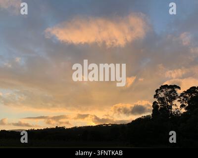 Sonnenuntergang in O Rosal, Galizien, Spanien, Juni 2020. Der Himmel zeigt goldene und rosafarbene Töne, während die Sonne hinter einer Reihe von silhouettierten Bäumen untergeht und eine dra Stockfoto