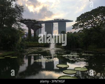 Reflektierender Teich im Gardens by the Bay in Singapur, Februar 2019. Zeigt große, flache Seerosenblätter, die auf der Wasseroberfläche schwimmen. Im Hintergrund, Stockfoto
