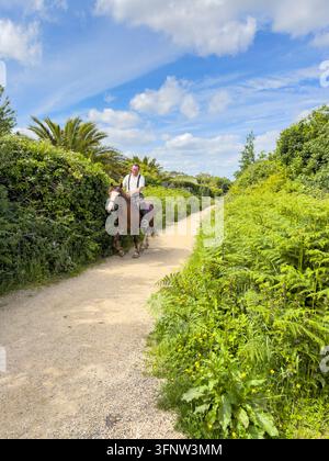 Irischer Bauer reitet ein Pferd auf einem Kiesweg, Howth, Dublin, Irland Stockfoto