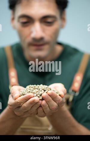 Kaffeeröster untersucht grüne Kaffeebohnen von Hand vor dem Rösten, wobei er sich auf Bohnenqualität und sensorische Eigenschaften konzentriert Stockfoto