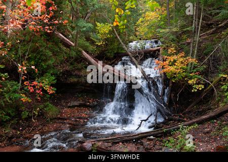Der malerische Wanger-Wasserfall stürzt über Felsen und gefallene Baumstämme in einem farbenfrohen Herbstwald in der Nähe von Munising, Michigan. Stockfoto