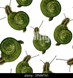 Botanisches Aquarell-Muster mit grünen Schnecken. Elemente für Ihr Design Stockfoto
